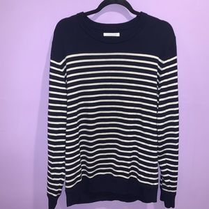 Everlane navy striped sweater